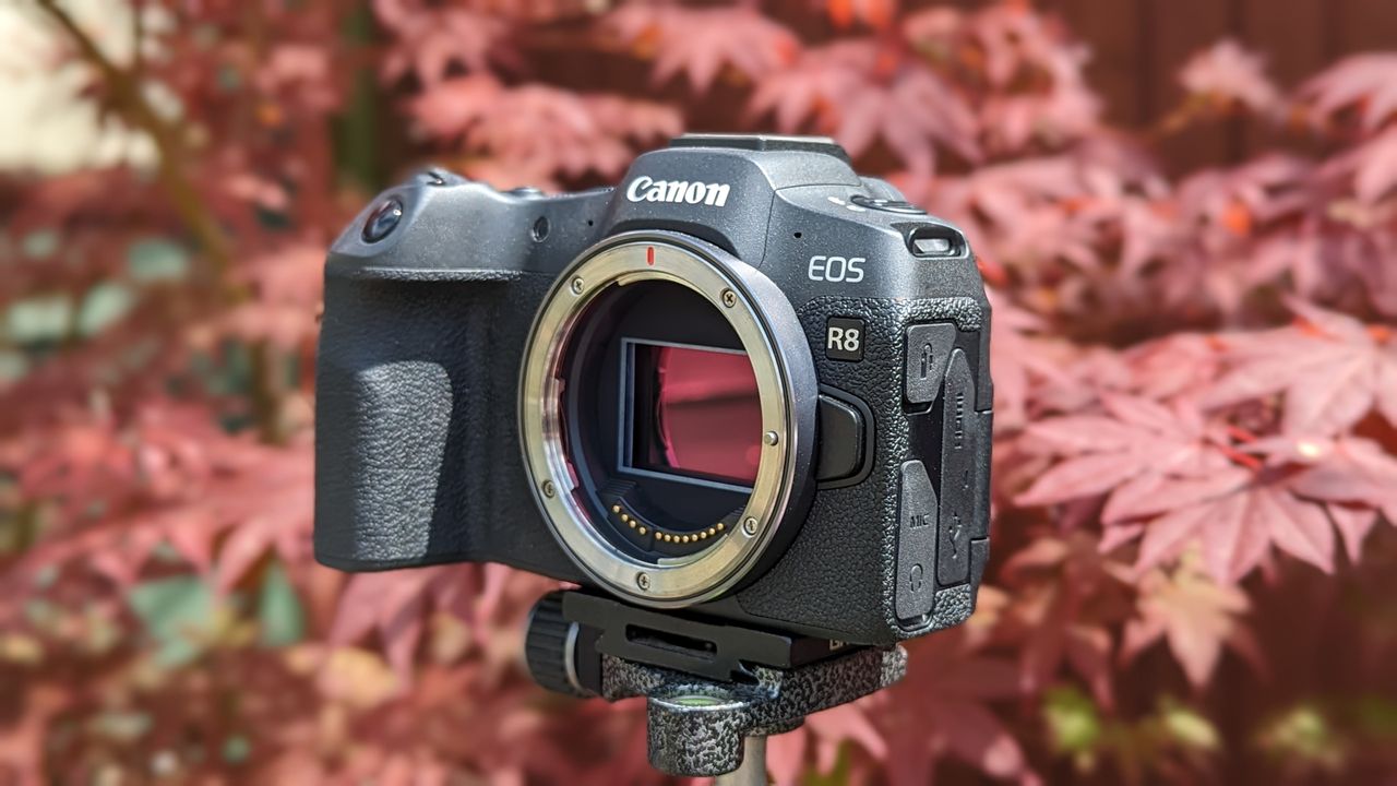 side view of the Canon EOS R8