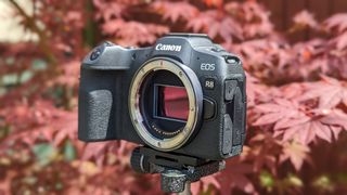 side view of the Canon EOS R8