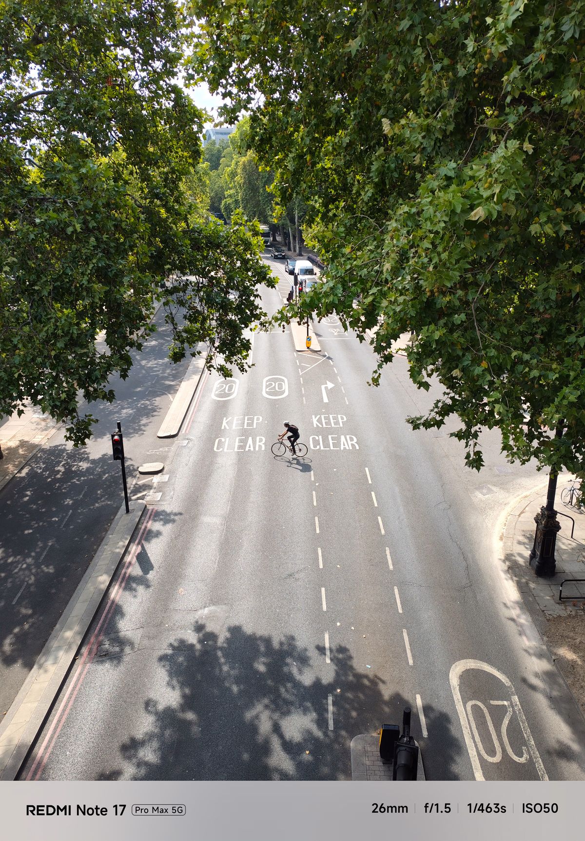 High-angle view of a London road framed by trees, with a cyclist crossing between marked traffic lanes.