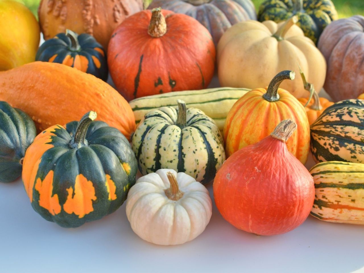 Variety Of Squash