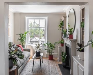 living room will with houseplants
