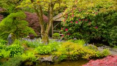 Japanese Garden At Butchart Gardens; Victoria, British Columbia, Canada