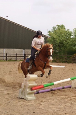 Emily Ham's Alfie enjoying a jump with Naiomi