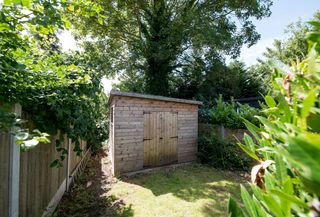 A timber shed in a garden