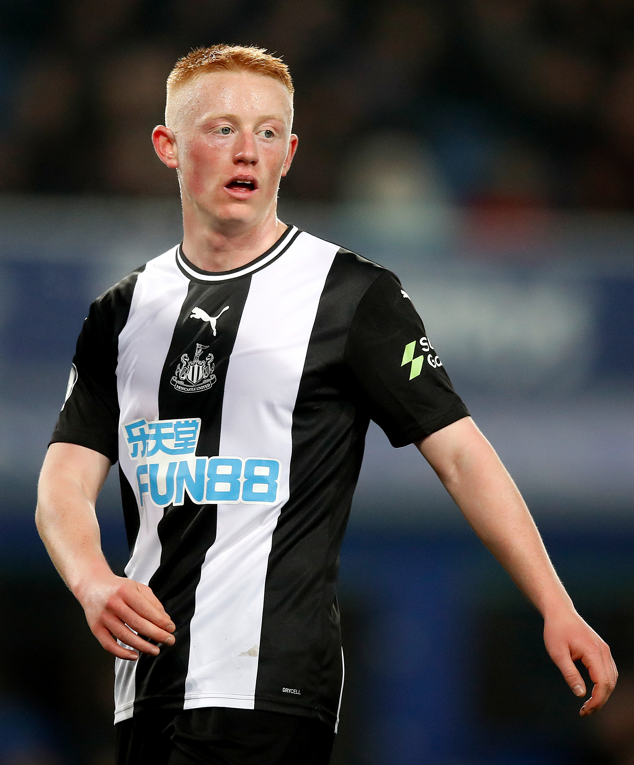 Everton v Newcastle United – Premier League – Goodison Park