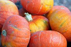 Red Kuri Squash, one of Mark's favourites.