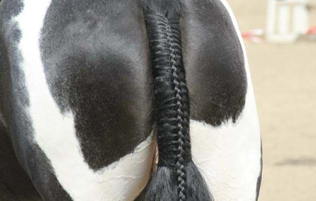 Prepare to be amazed — 18 showstopper tail plaits and braids