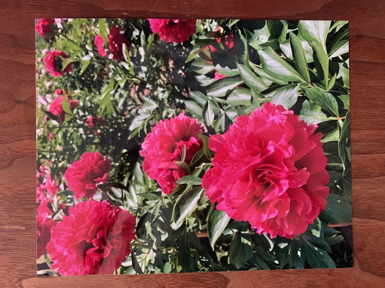 Amazon Photo Printing