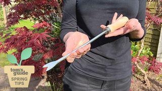 Wiriter holding dandelion weeding tool with Spring Tips logo in bottom left hand corner