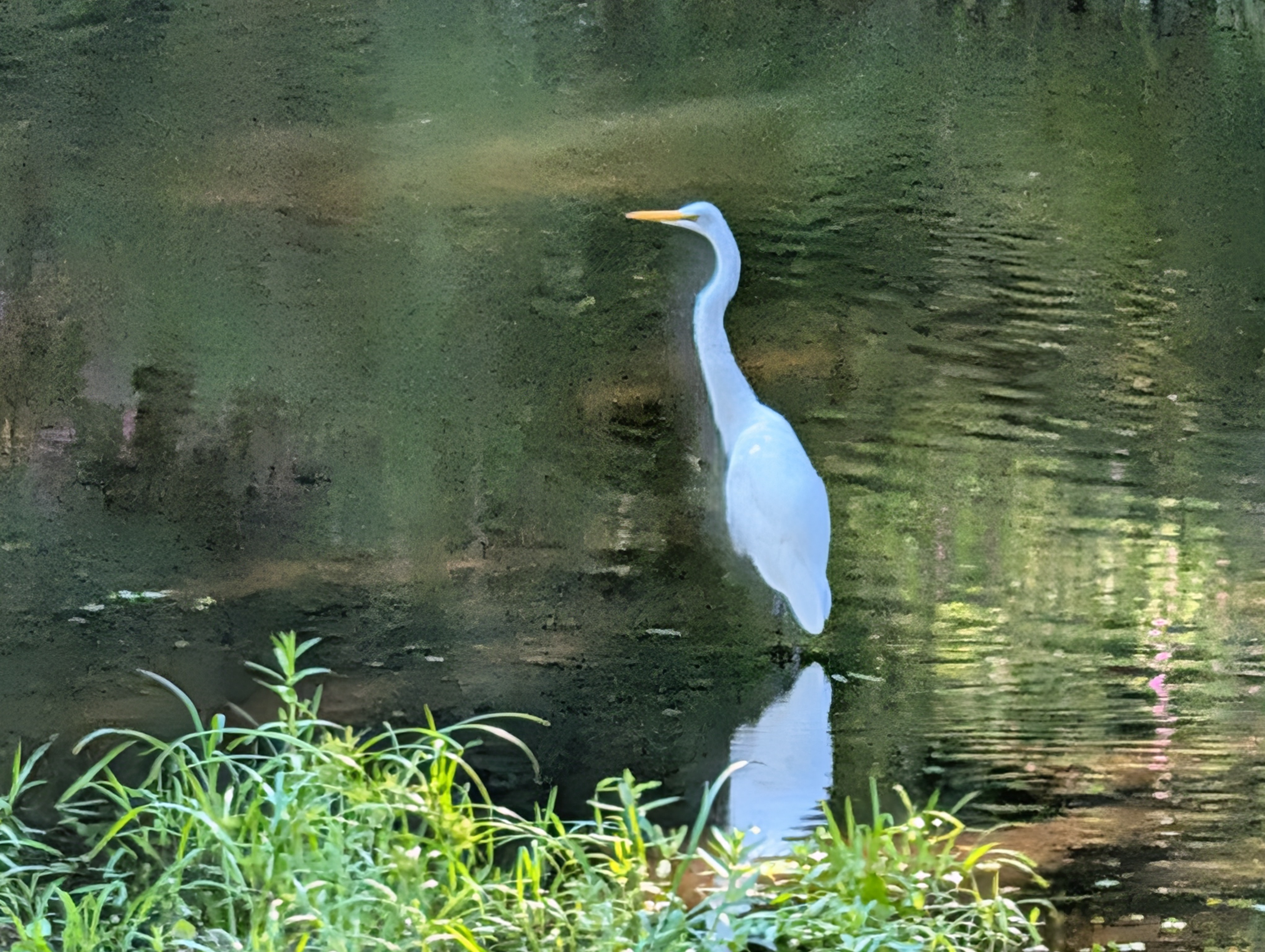 Camera image samples taken with the Google Pixel 10 Pro and Pixel 10 Pro XL