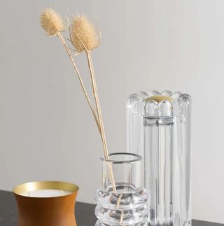 Transparent vase