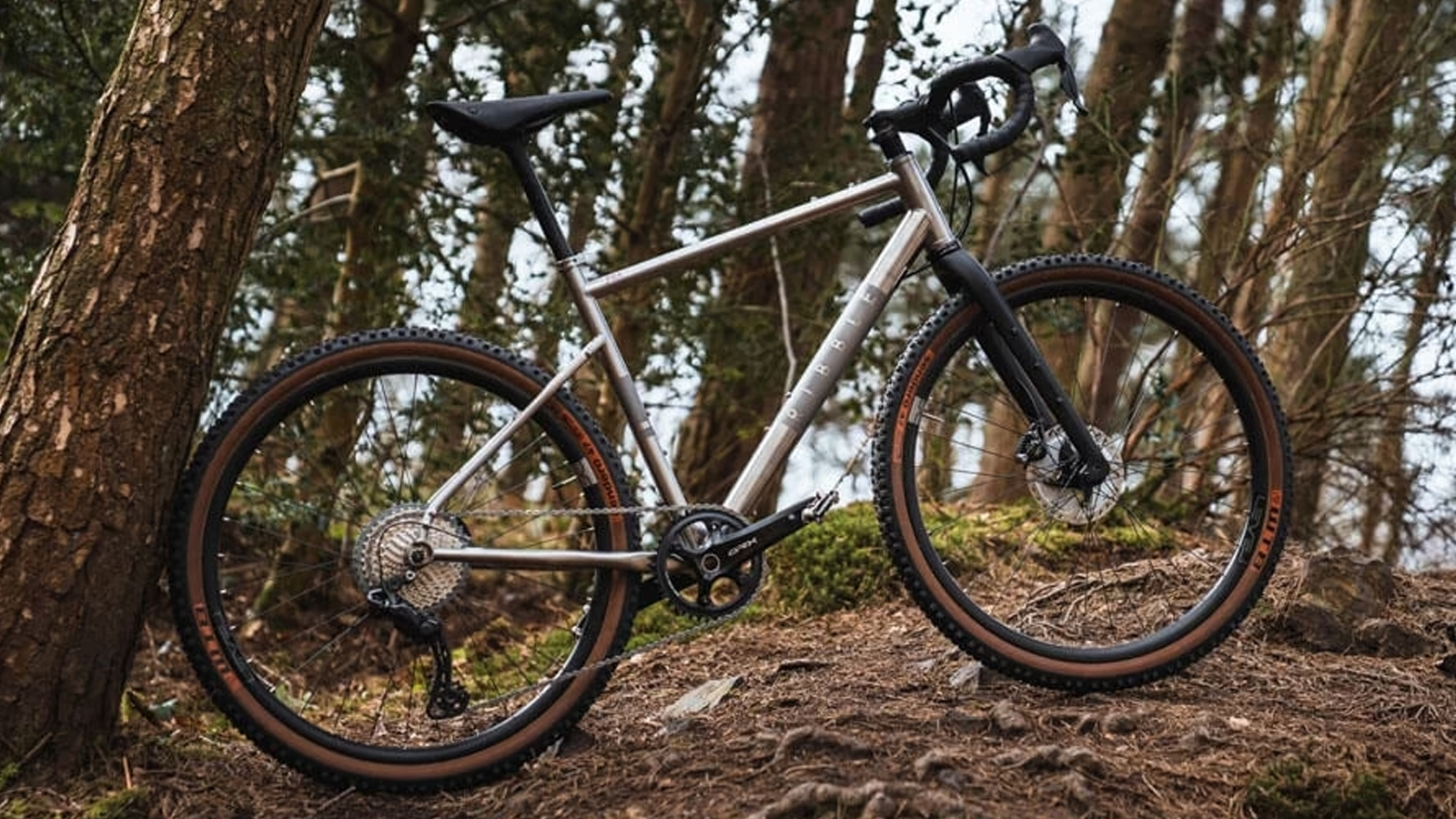 Ribble Gravel Ti in a forest