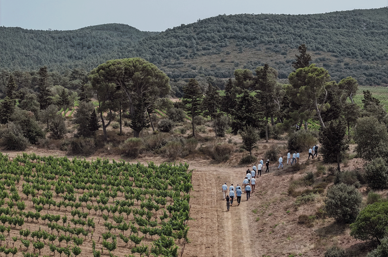 Ch&amp;acirc;teau d'Aussi&amp;egrave;res