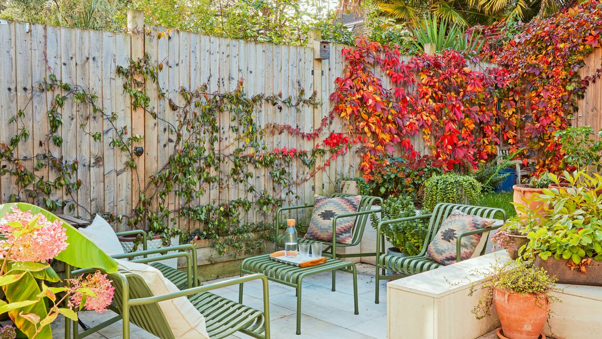 10 Dazzling DIY Ideas to Landscape Your Garden Fence and Add Style and Color to Your Yard