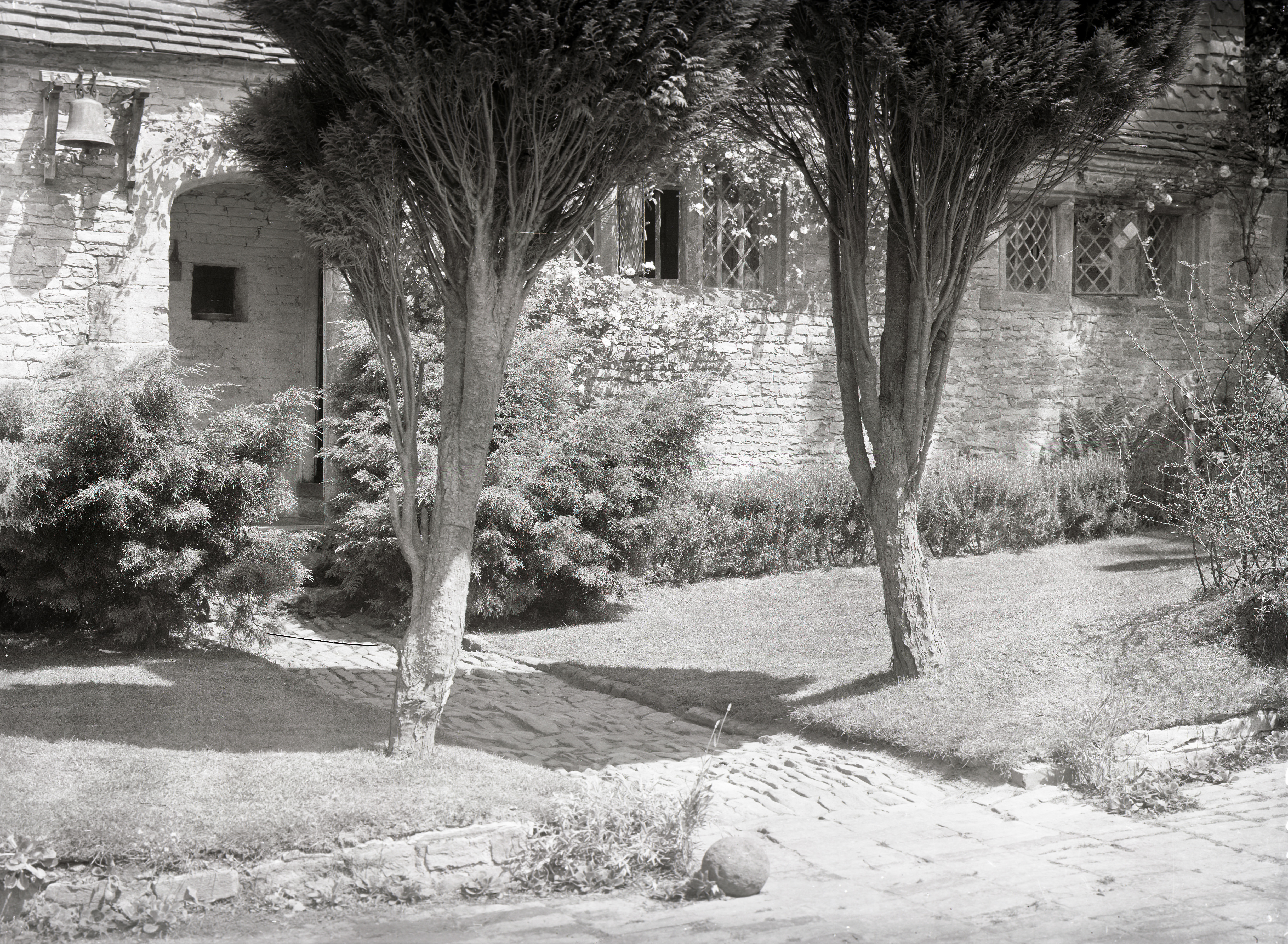 Images of Valewood Farm, with plenty of peacocks