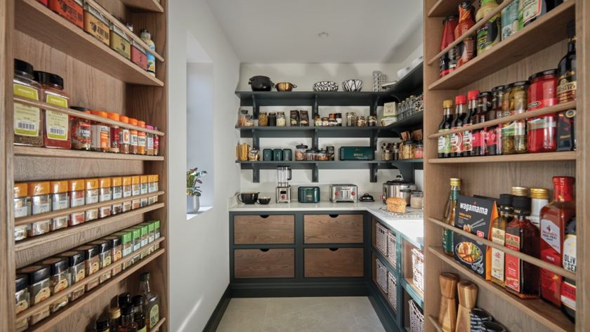 image of inside of walk in pantry with shelves, drawers, worktops and back of door shelves with spices