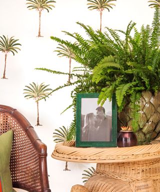 A rattan table with a green photo frame and plant on it, next to a brown chair in front of a white wall with palm tree wallpaper