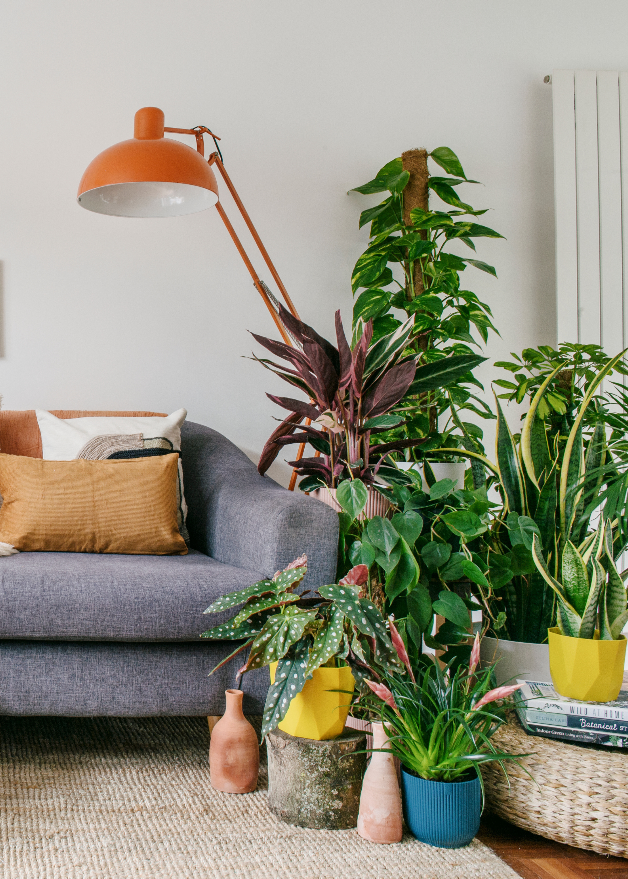 An indoor garden by a large orange floor lamp and a gray couch