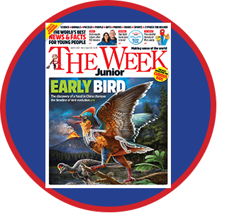 The Week Junior Teacher Guide Bubble 258