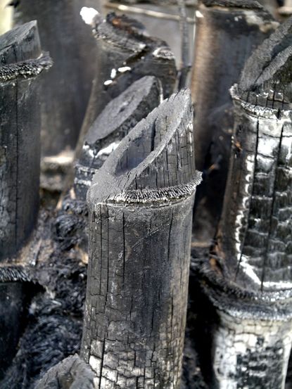 Wood Burnt To Biochar