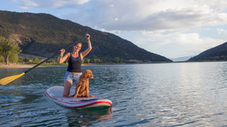 Woman paddleboarding with a dog on an open lake