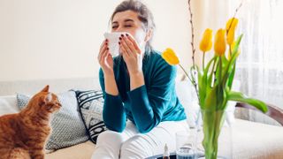 Woman with hay fever sneezing, with cat and tulips in shot