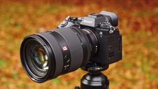 Sony A1 II mirrorless camera with FE 28-70mm F2 lens, outdoors on a tripod with autumn leaves background