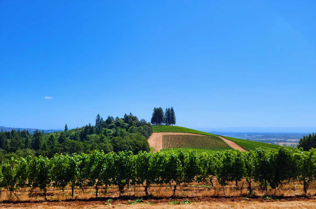 Willamette Valley 2021