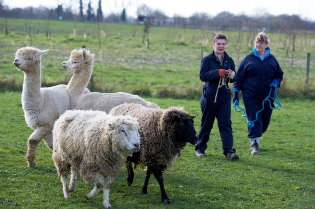 Writtle taster day