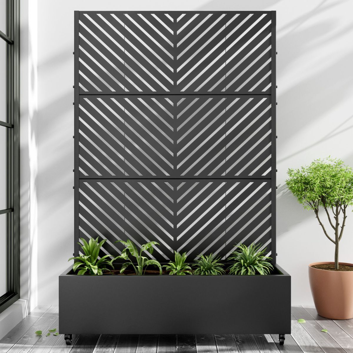 Black trellis