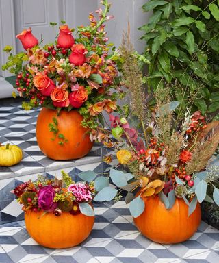 Colorful pumpkin planters outdoors