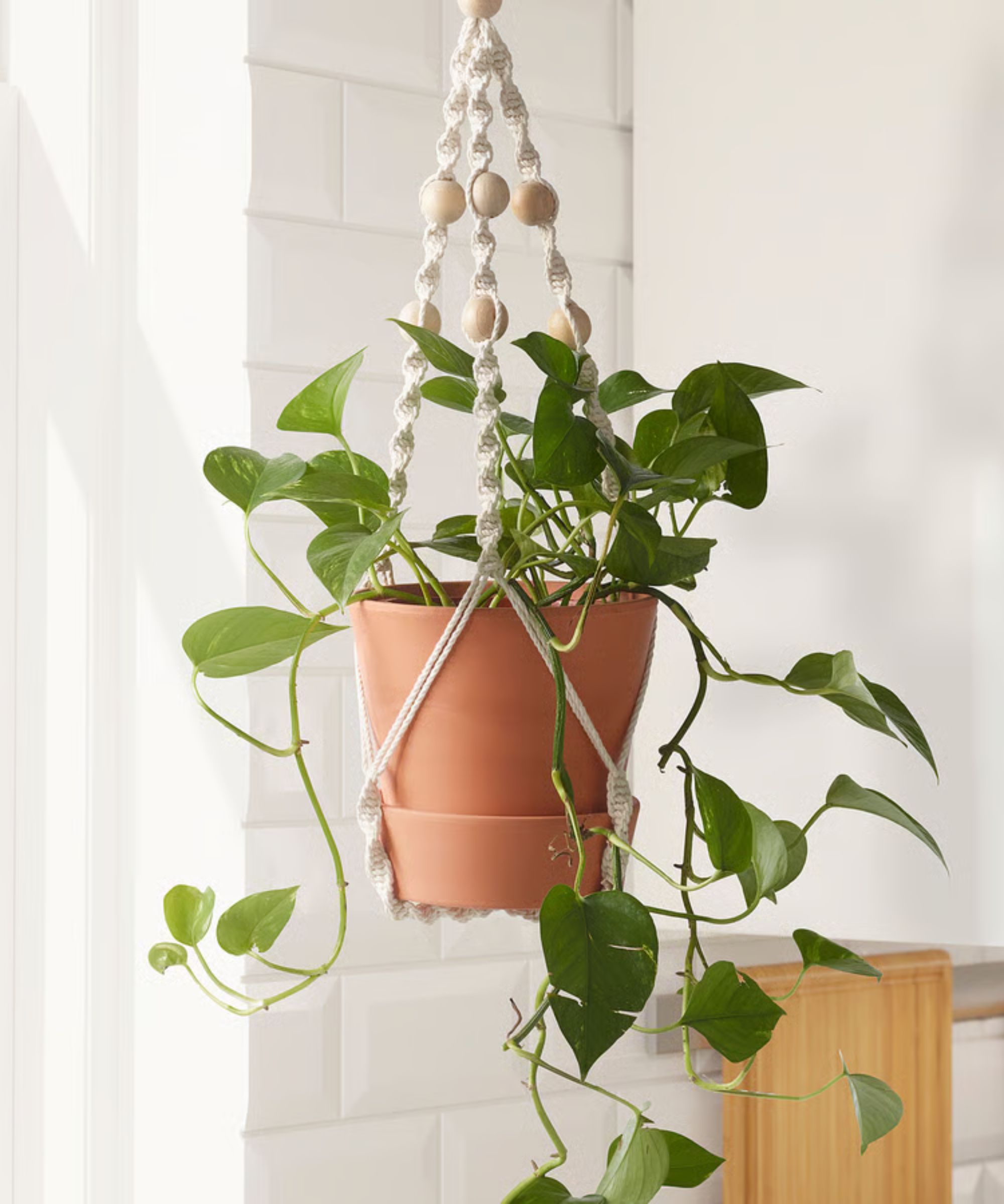 Terracotta pot in '70s-style fabric hanging planter