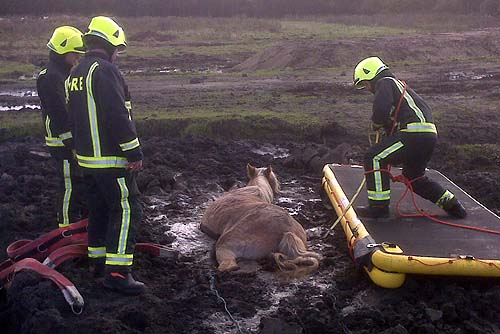 rescue2.jpeg