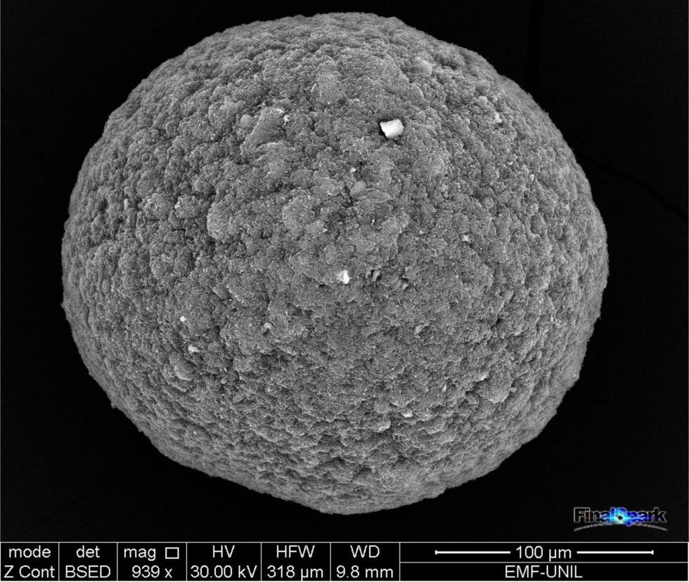 FinalSpark bioprocessors