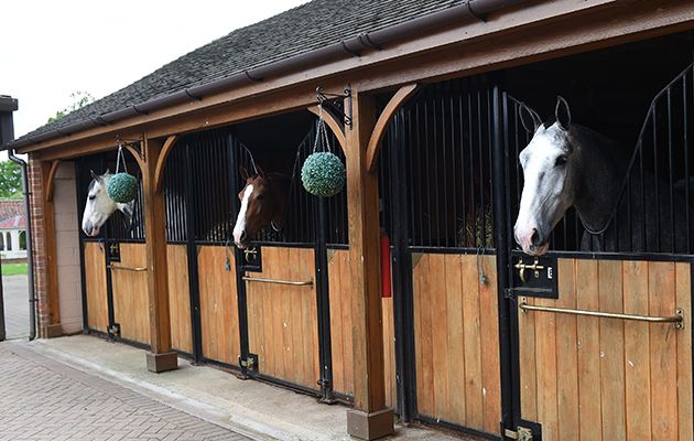 Stableyard How to improve your stable yard: things to consider | Horse & Hound