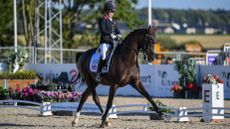 Sophie Wells riding Don Cara M at the World Para Dressage Championships in Herning