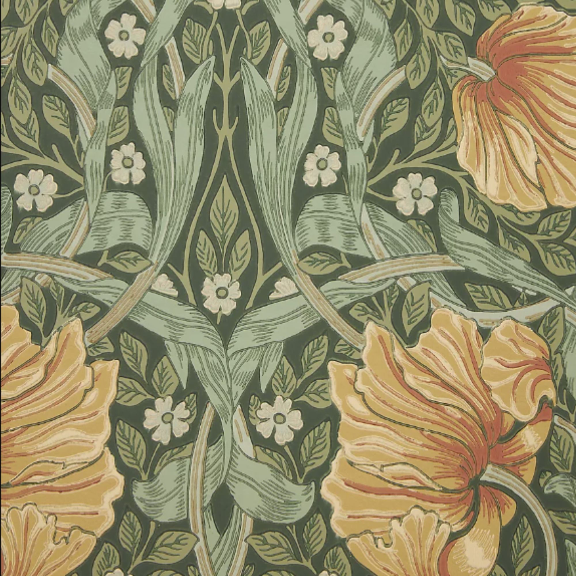 Morris &amp;amp; Co. Pimpernel Floral Wallpaper