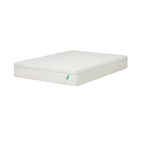 Tuft &amp; Needle Original Hybrid Mattress: