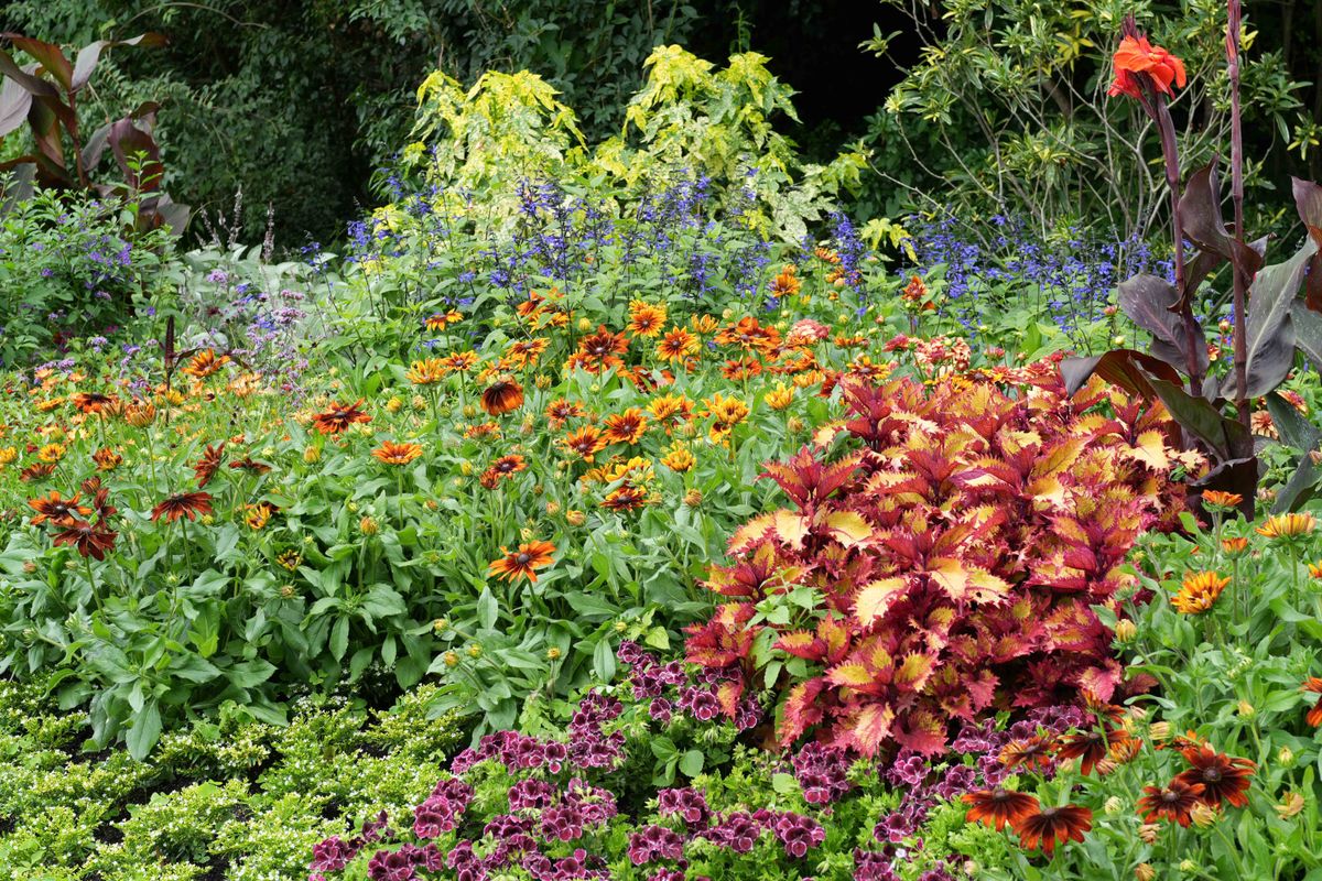 Bushes and flowers shot on Sony a6700