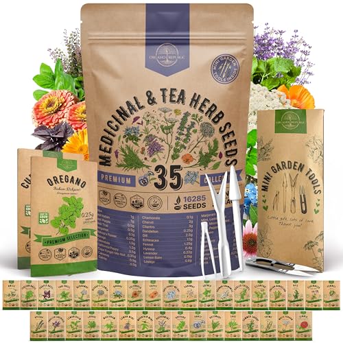 35 Medicinal &amp;amp; Tea Herb Seeds Variety Pack for Indoor &amp;amp; Outdoors. 16,335+ Non-Gmo Heirloom Garden Seeds: Anise, Bergamot, Borage, Cilantro, Chamomile, Dandelion, Rosemary Seeds &amp;amp; More