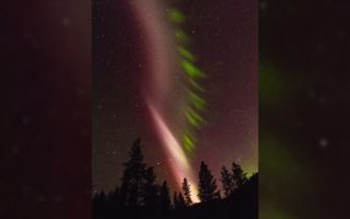 This amateur astronomer's photograph, taken on May 8, 2016, in Keller, Washington, was used in the new research about the celestial phenomenon called STEVE. The major structures are two bands of upper atmospheric emissions located 100 miles (160 kilometers) above the ground: a reddish arc and a green picket fence.