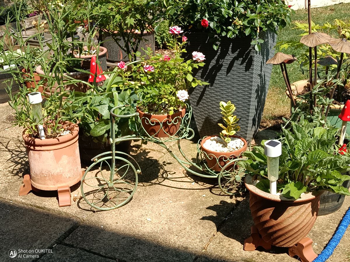 Oukitel WP68 Air Photo Examples