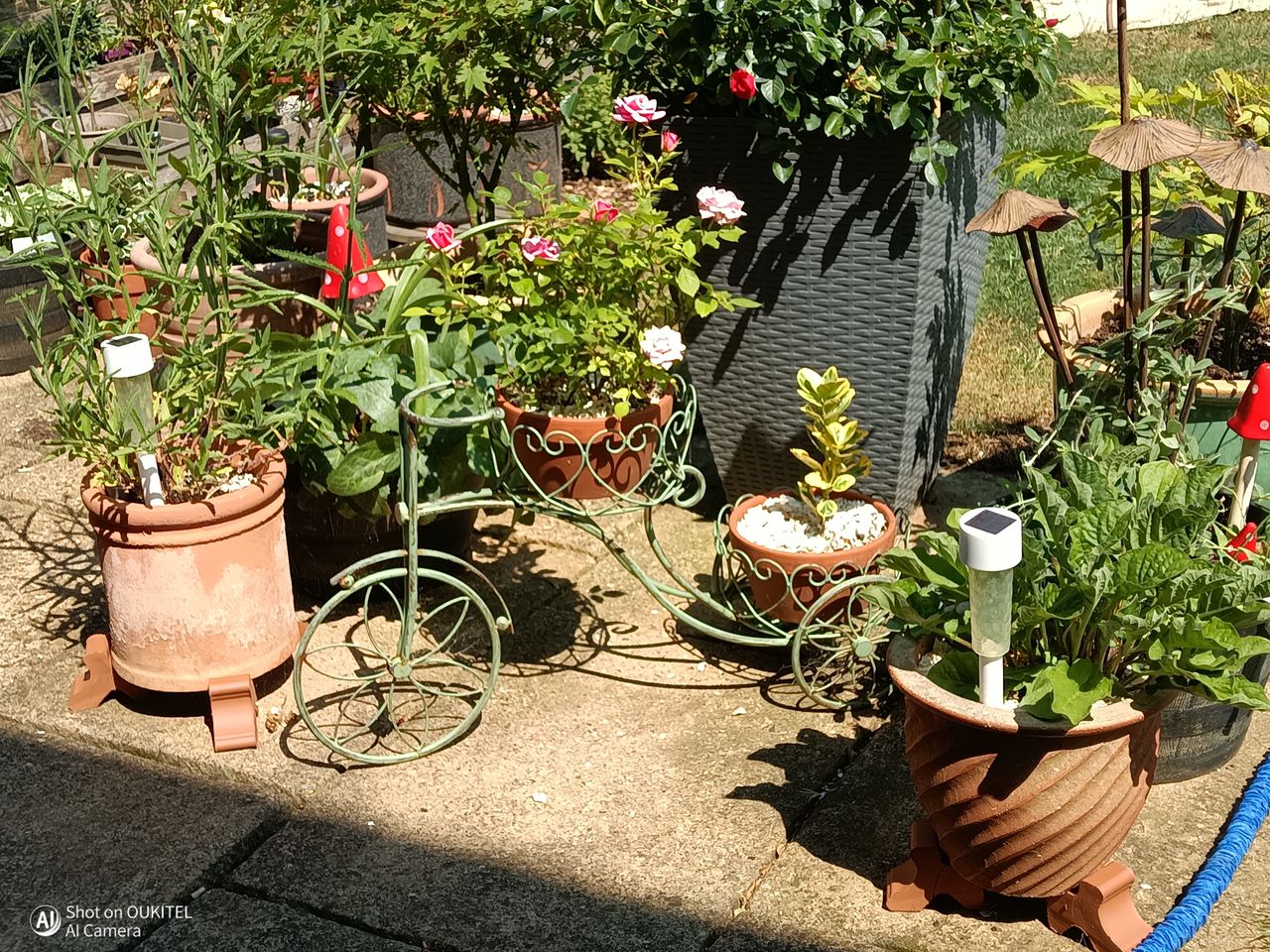 Oukitel WP68 Air Photo Examples