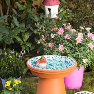 garden with bird water bath