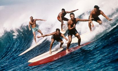 Captured: Surf's up!