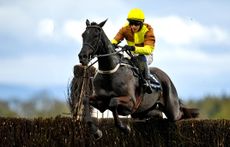 Galopin Des Champs winning at Fairyhouse in 2024