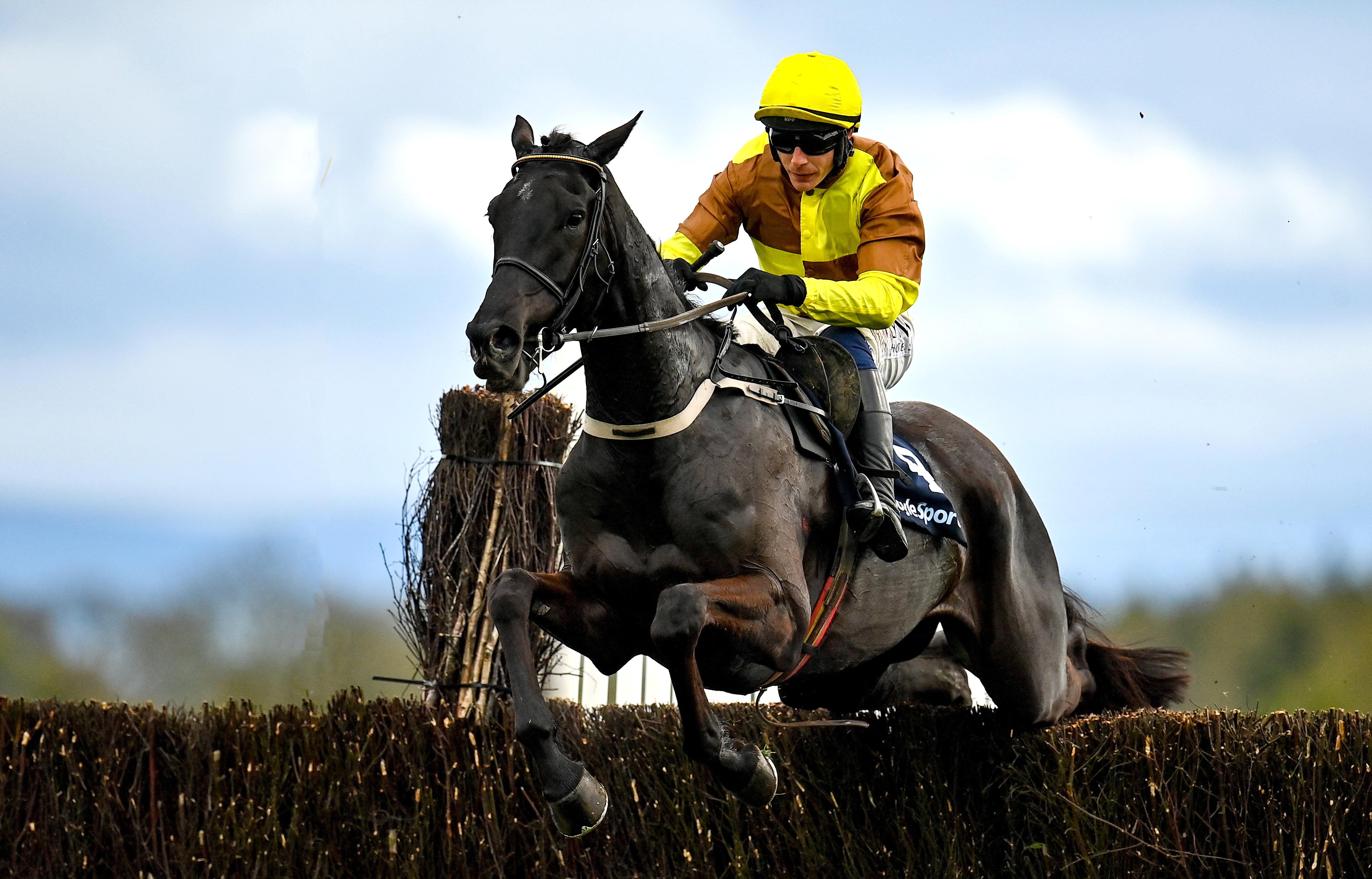 Galopin Des Champs winning at Fairyhouse in 2024