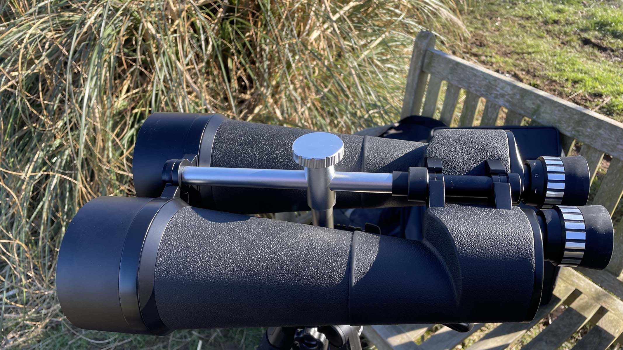 Celestron SkyMaster 25x100