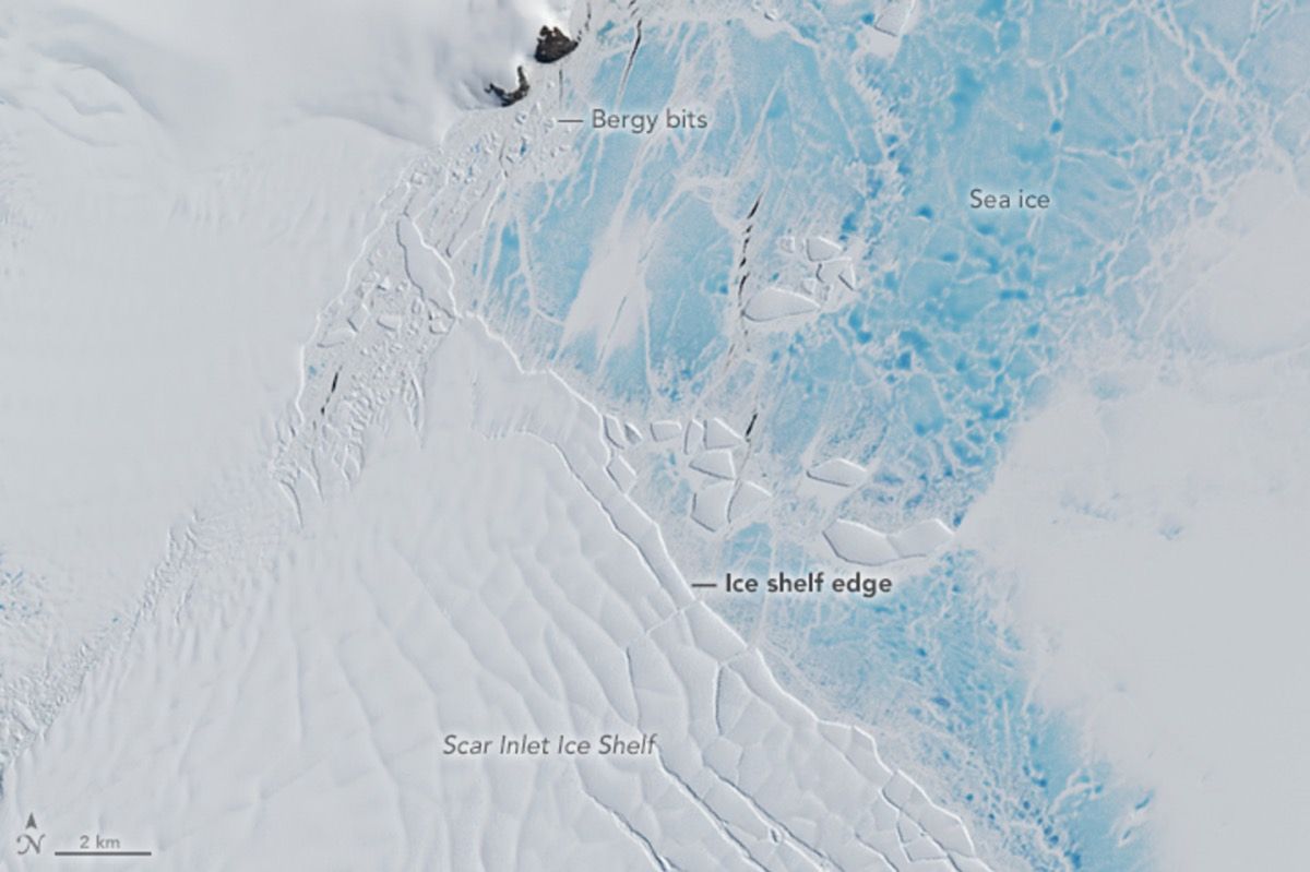 This Landsat satellite image, acquired in January 2016, shows Antarctica&#039;s Larsen Ice Shelf.