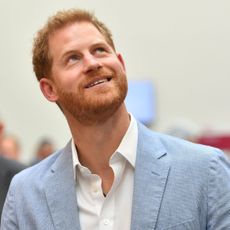 the duke of sussex visits sheffield